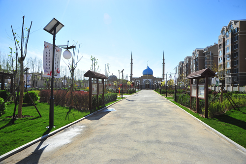 SLH_3365.jpg